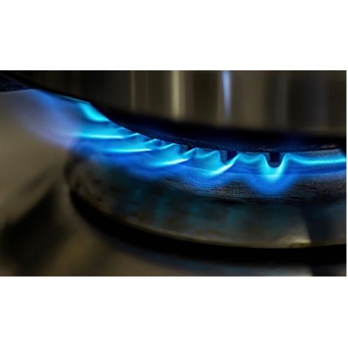 Bếp gas đôi Watashi 7011